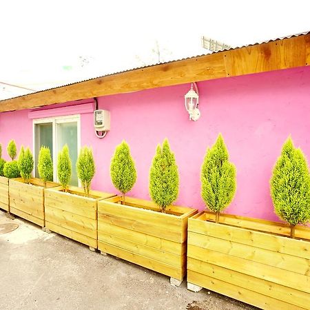 Little Haenyeo Vila Jeju Exterior foto